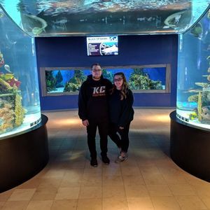 Meet your Posher, Sunshine